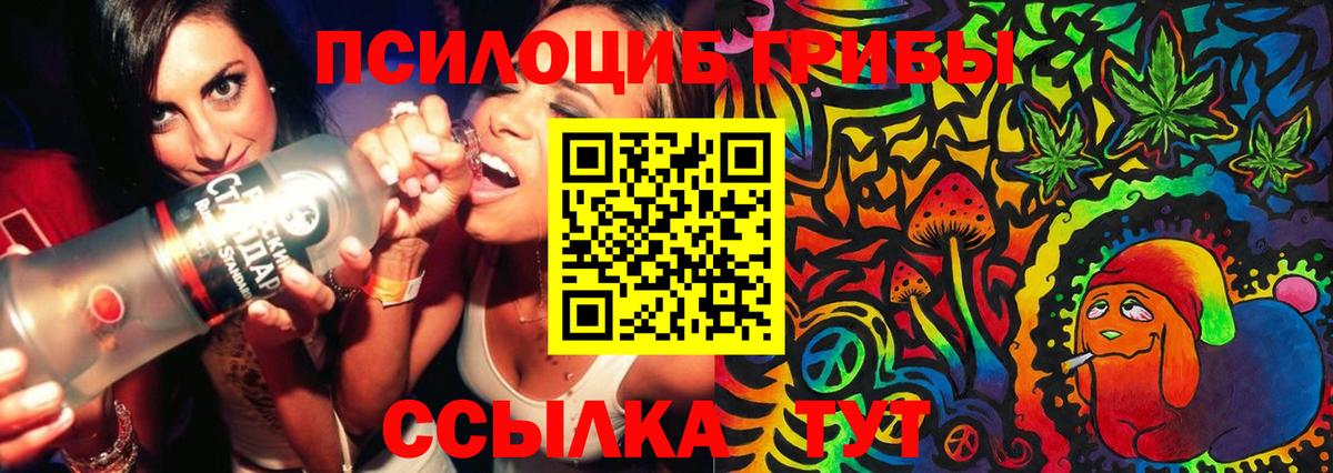 Псилоцибиновые грибы Cubensis Ржев